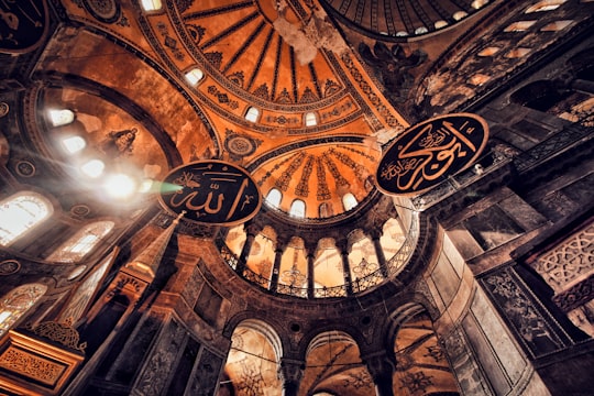 brown and black dome building in Hagia Sophia Turkey