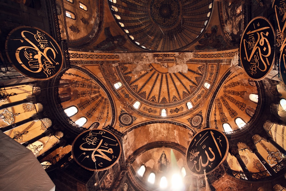 brown and black cathedral ceiling