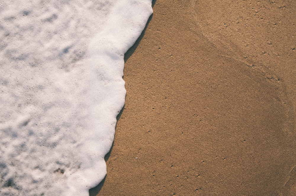 écume de mer sur le sable