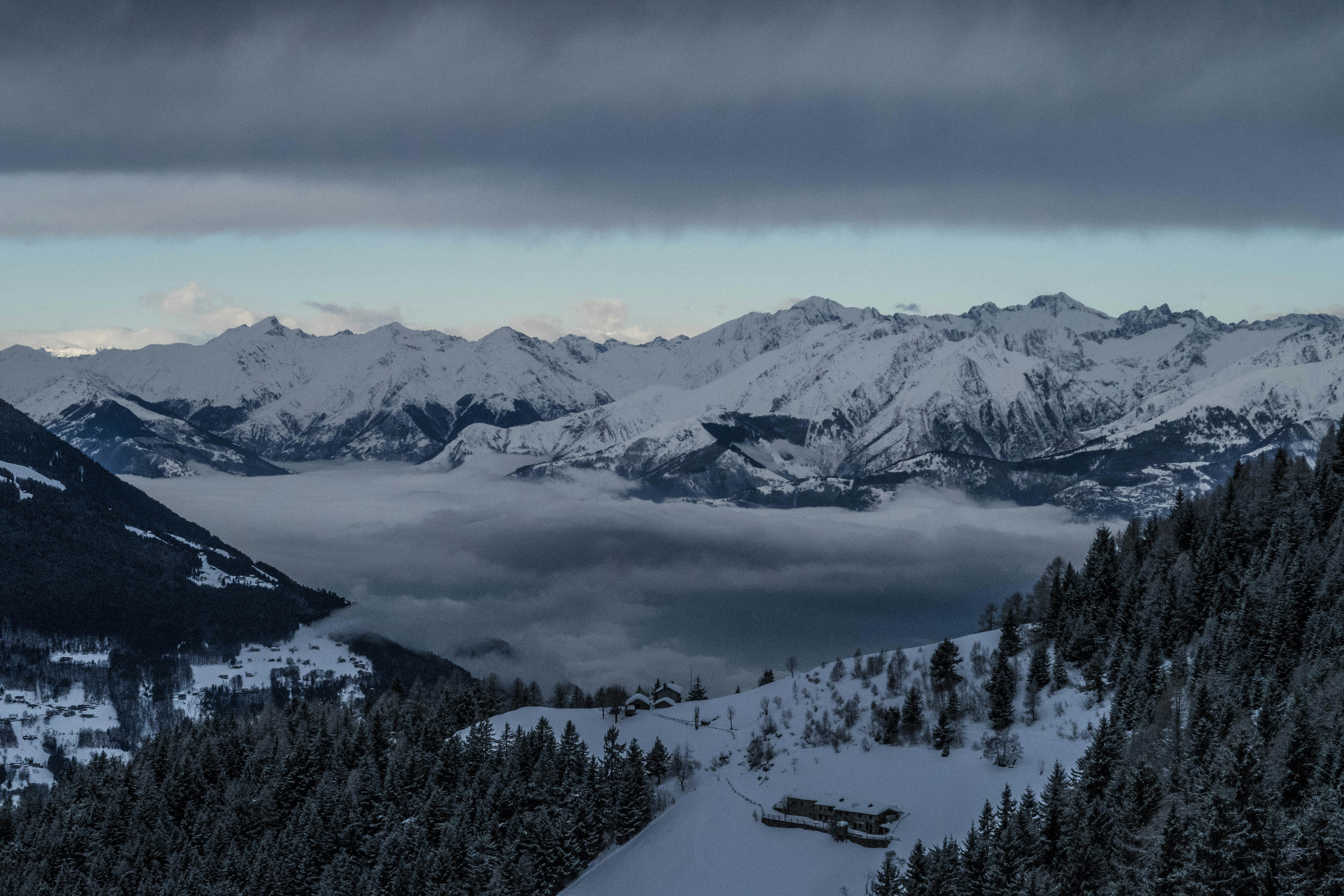 snow covered mountain near pine trees