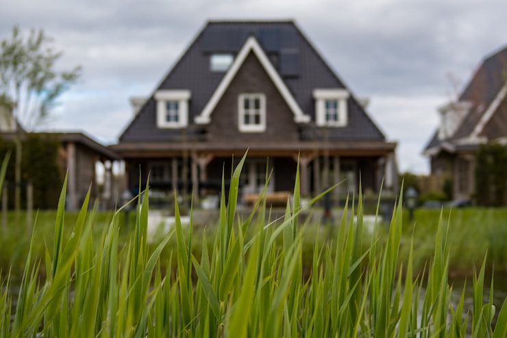 House in green environment