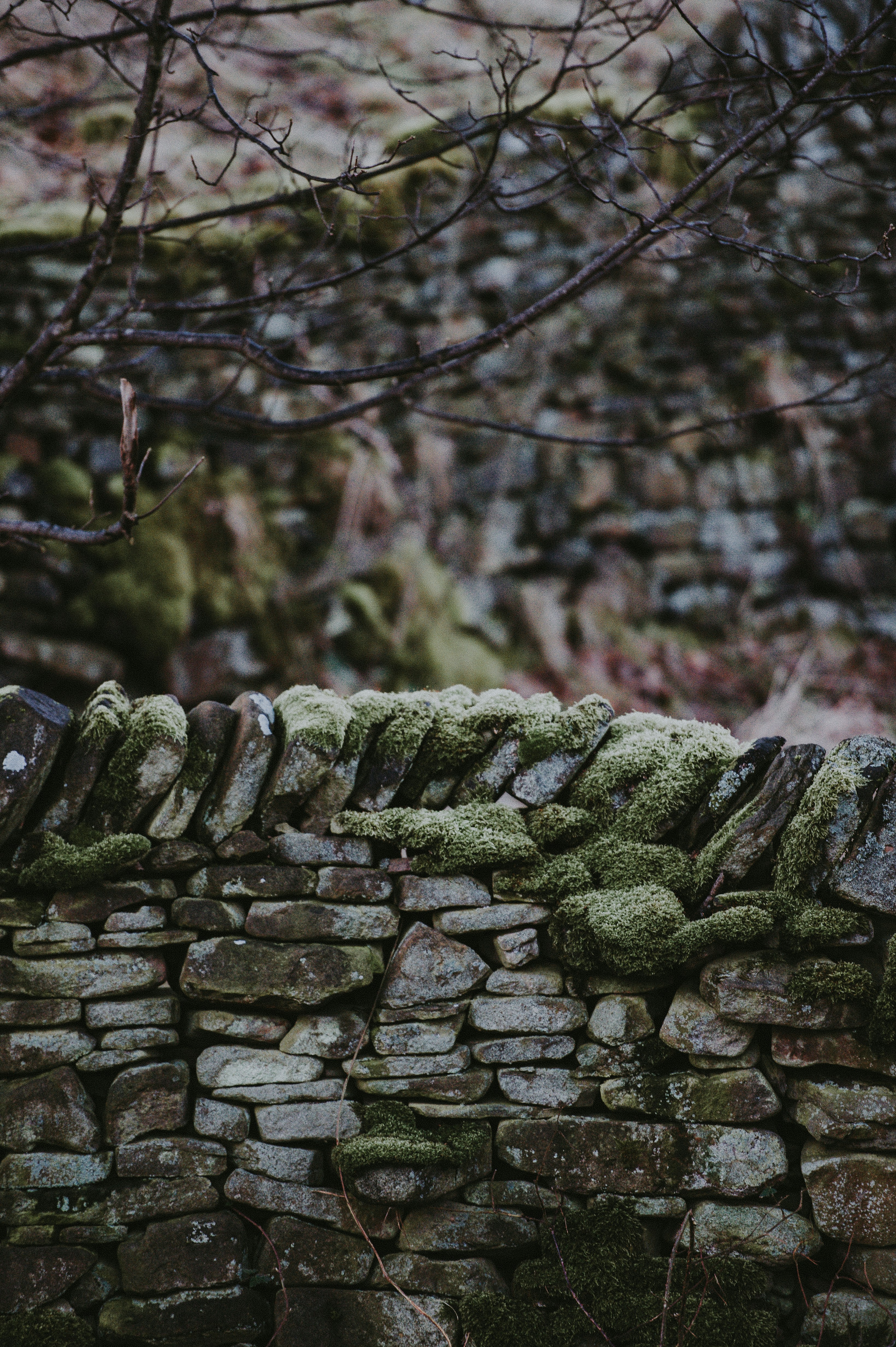 Photo by anniespratt