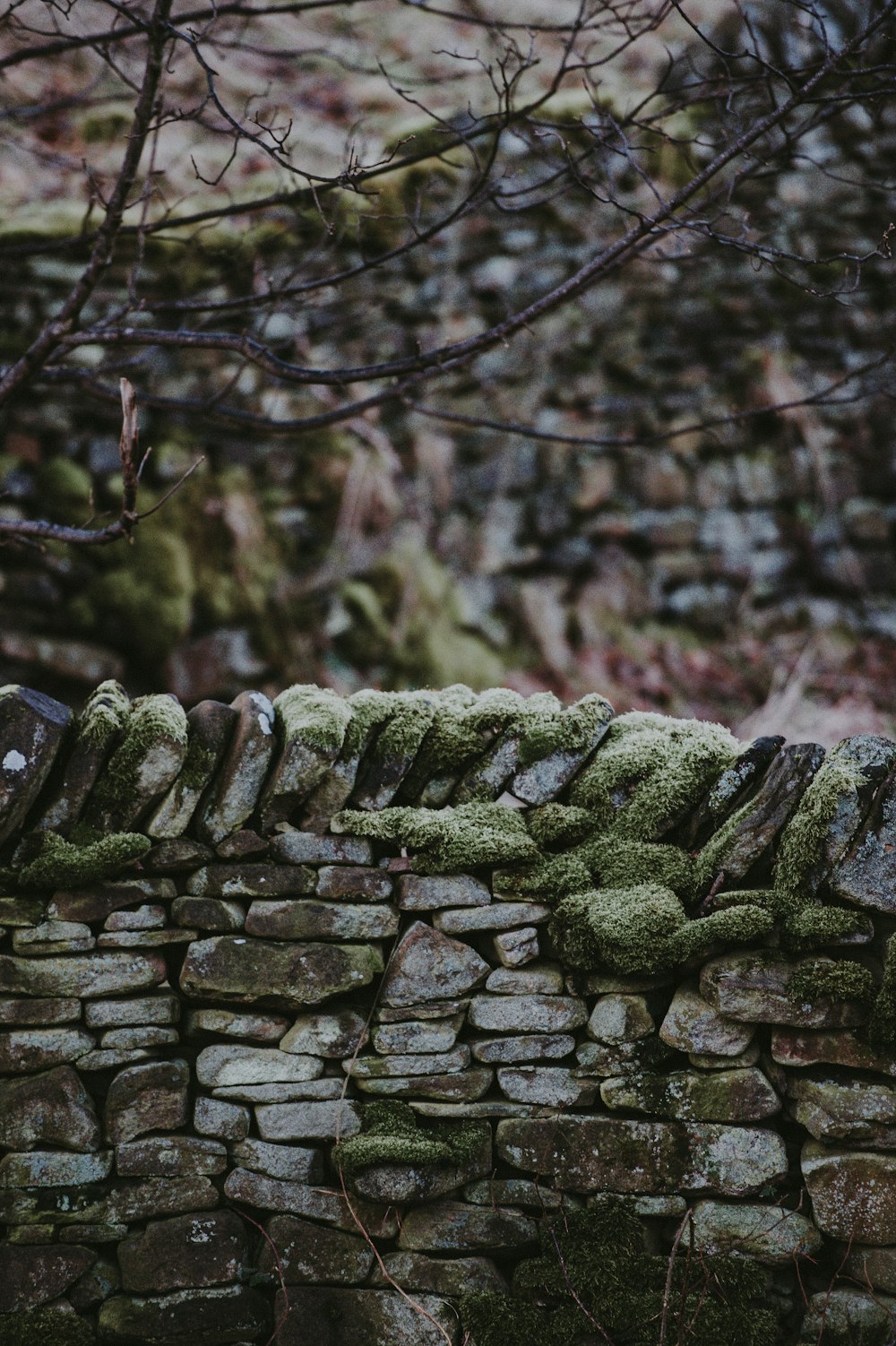 gray stones during daytime