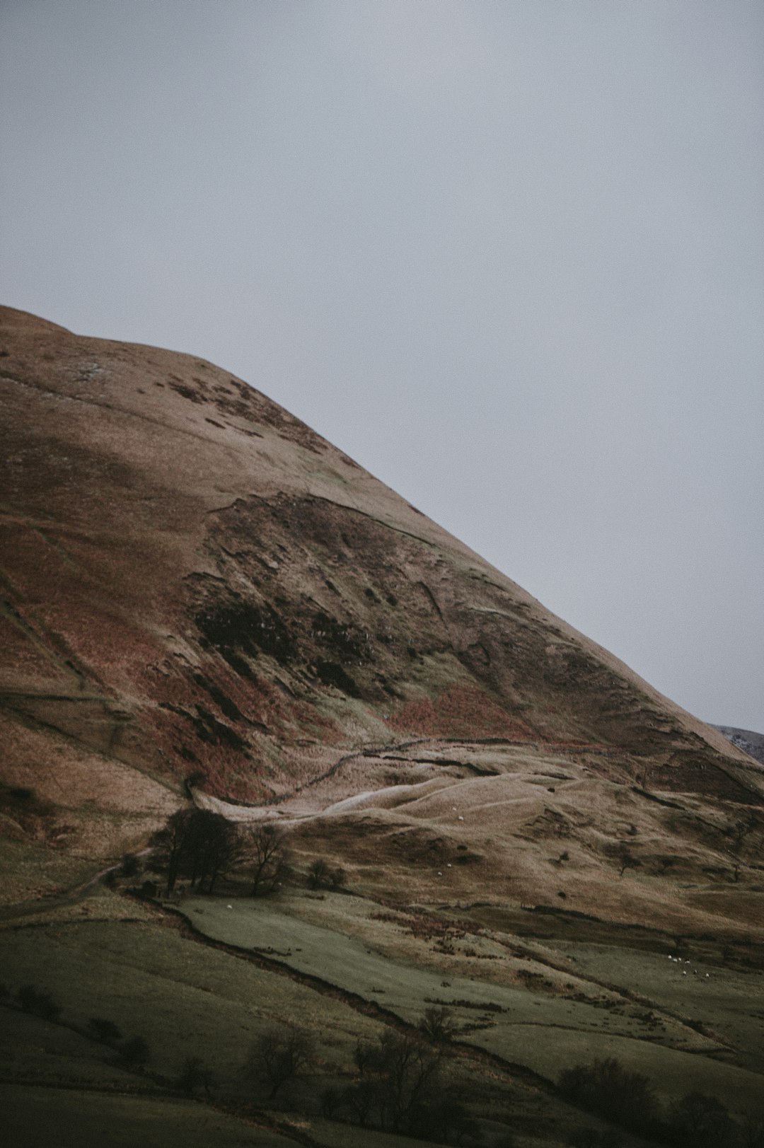 brown mountain during daytime