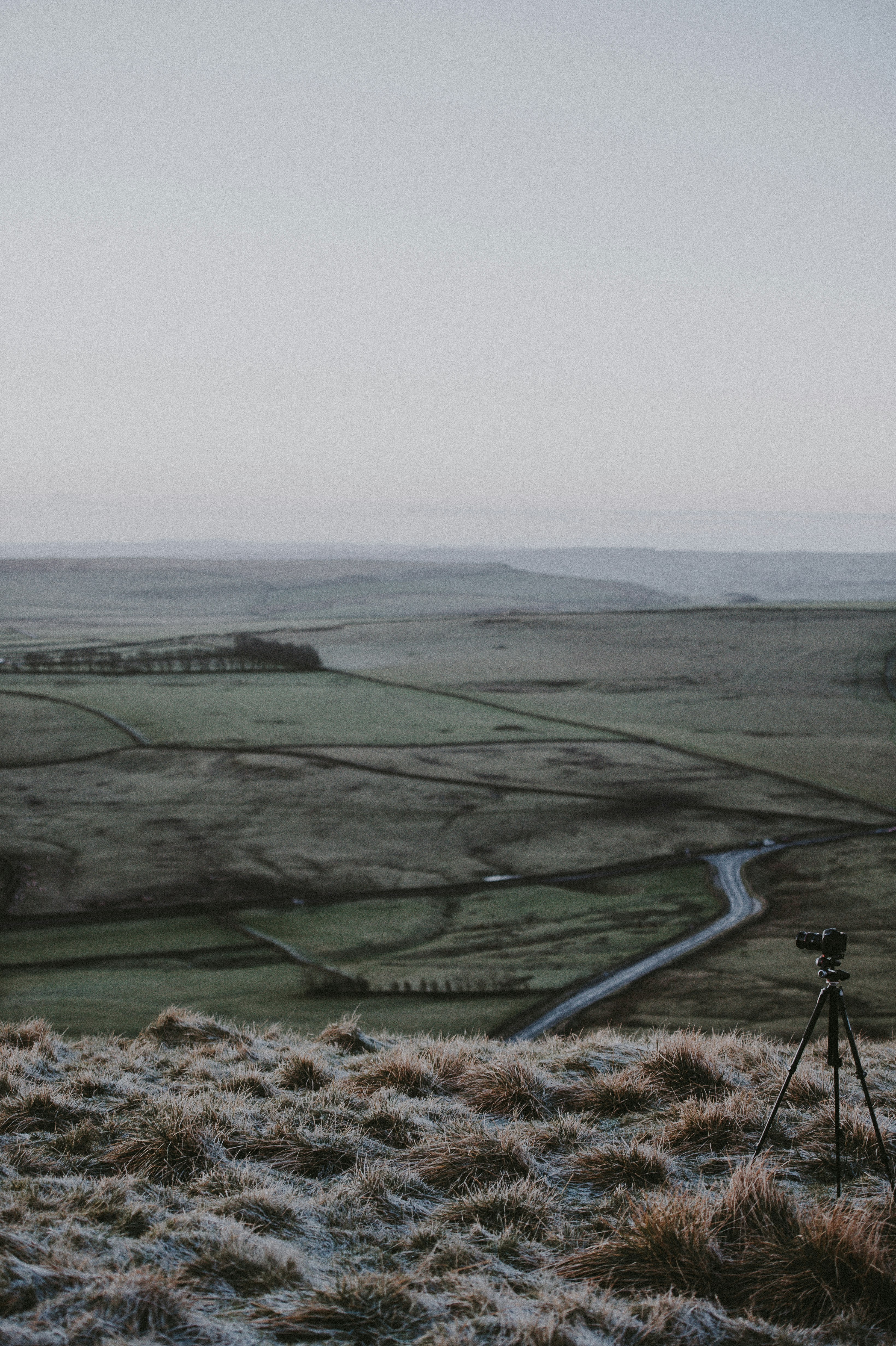 mountain view of field