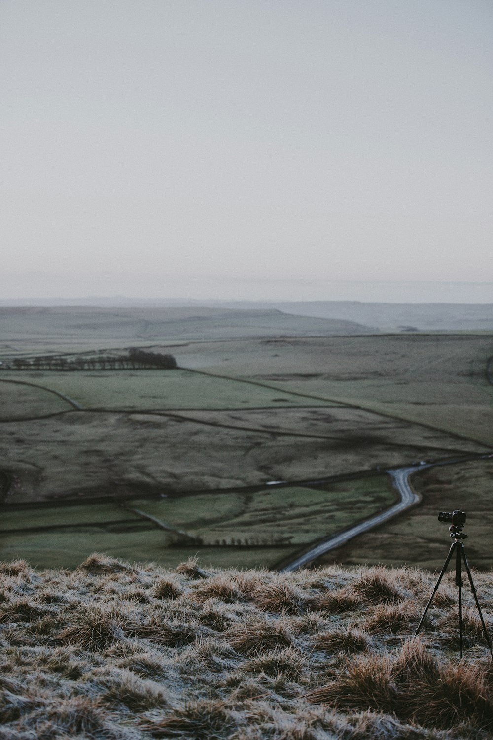 mountain view of field