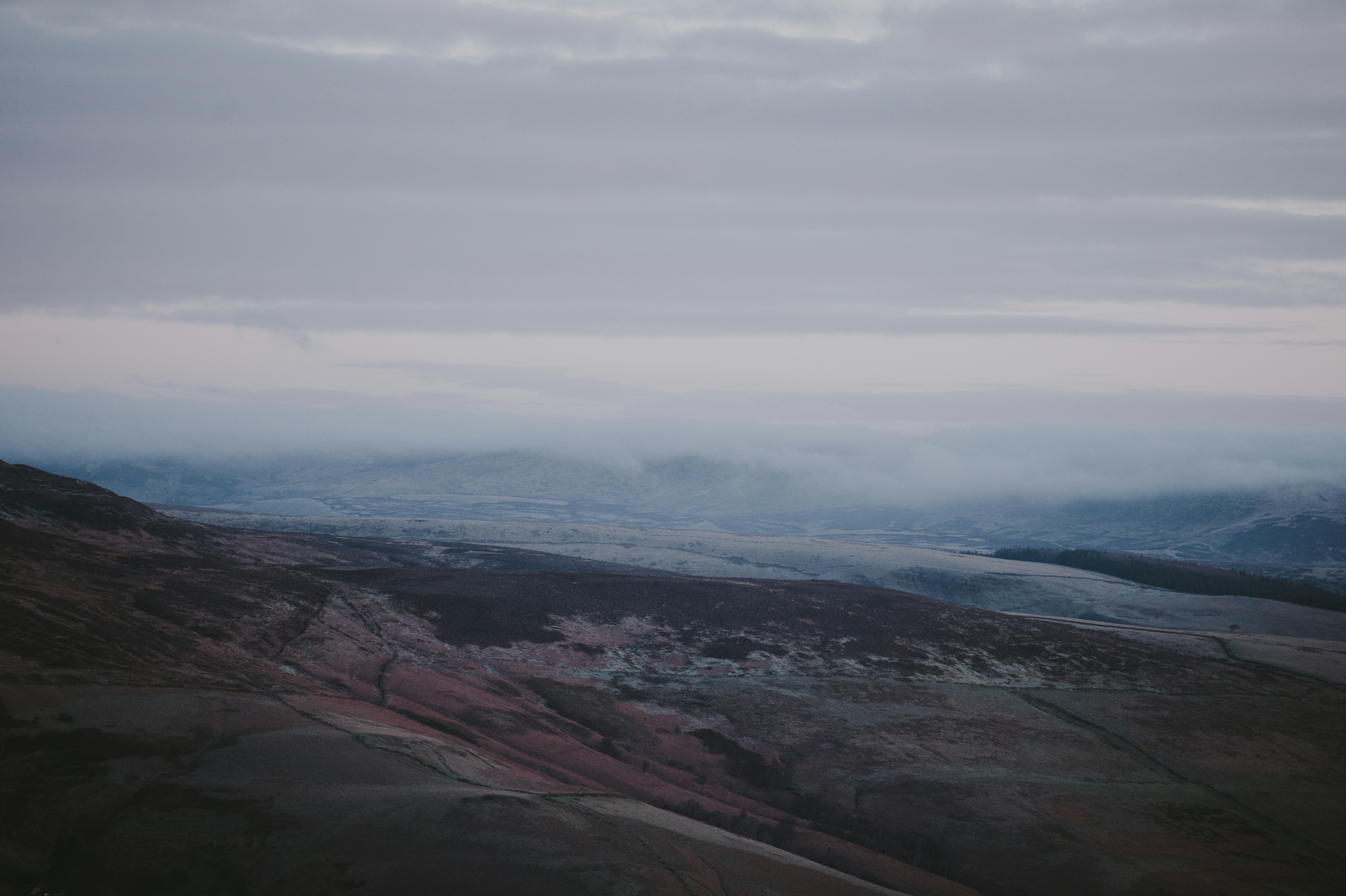 Photo by anniespratt