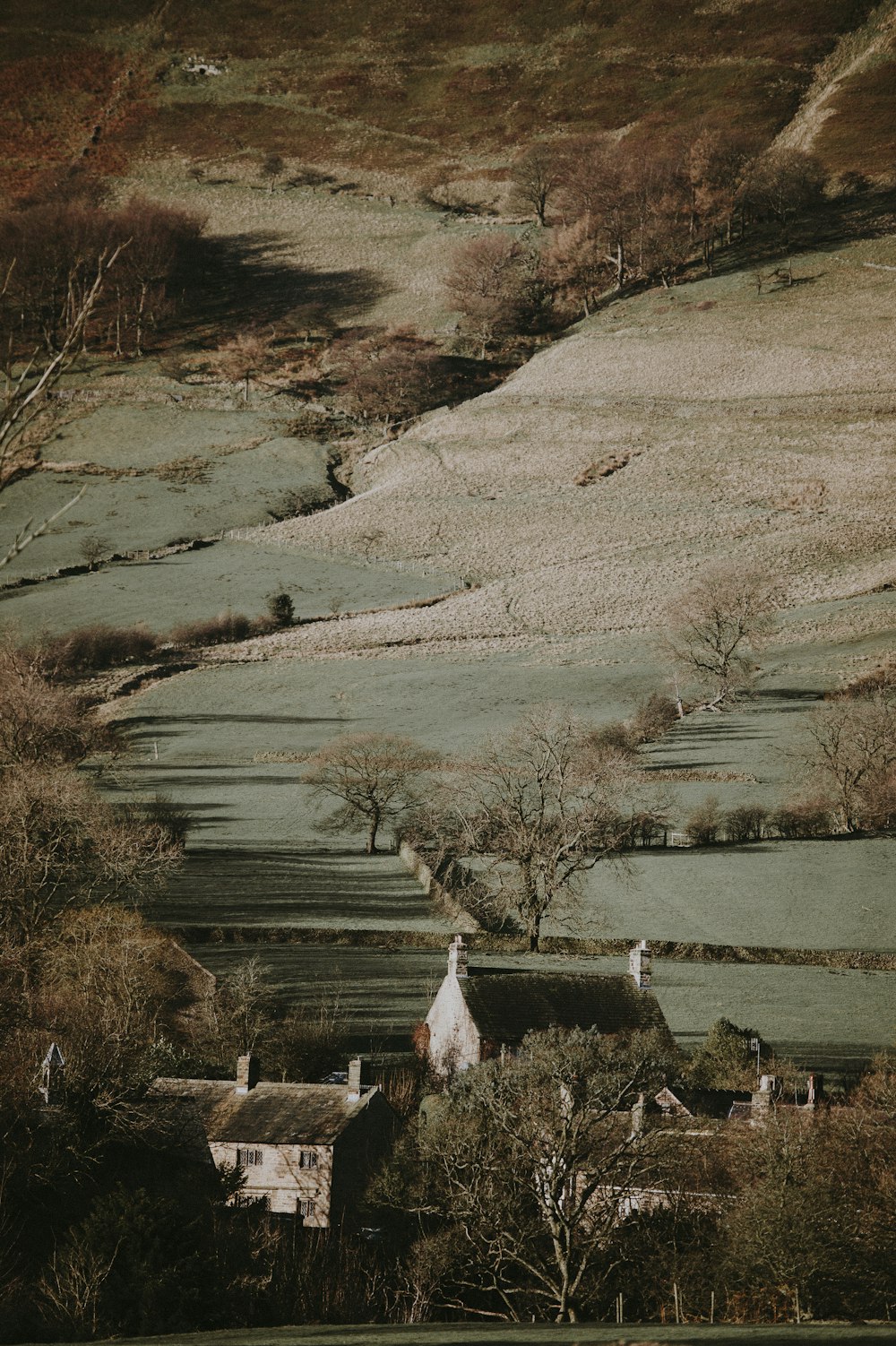 gray and white house in landscape photography