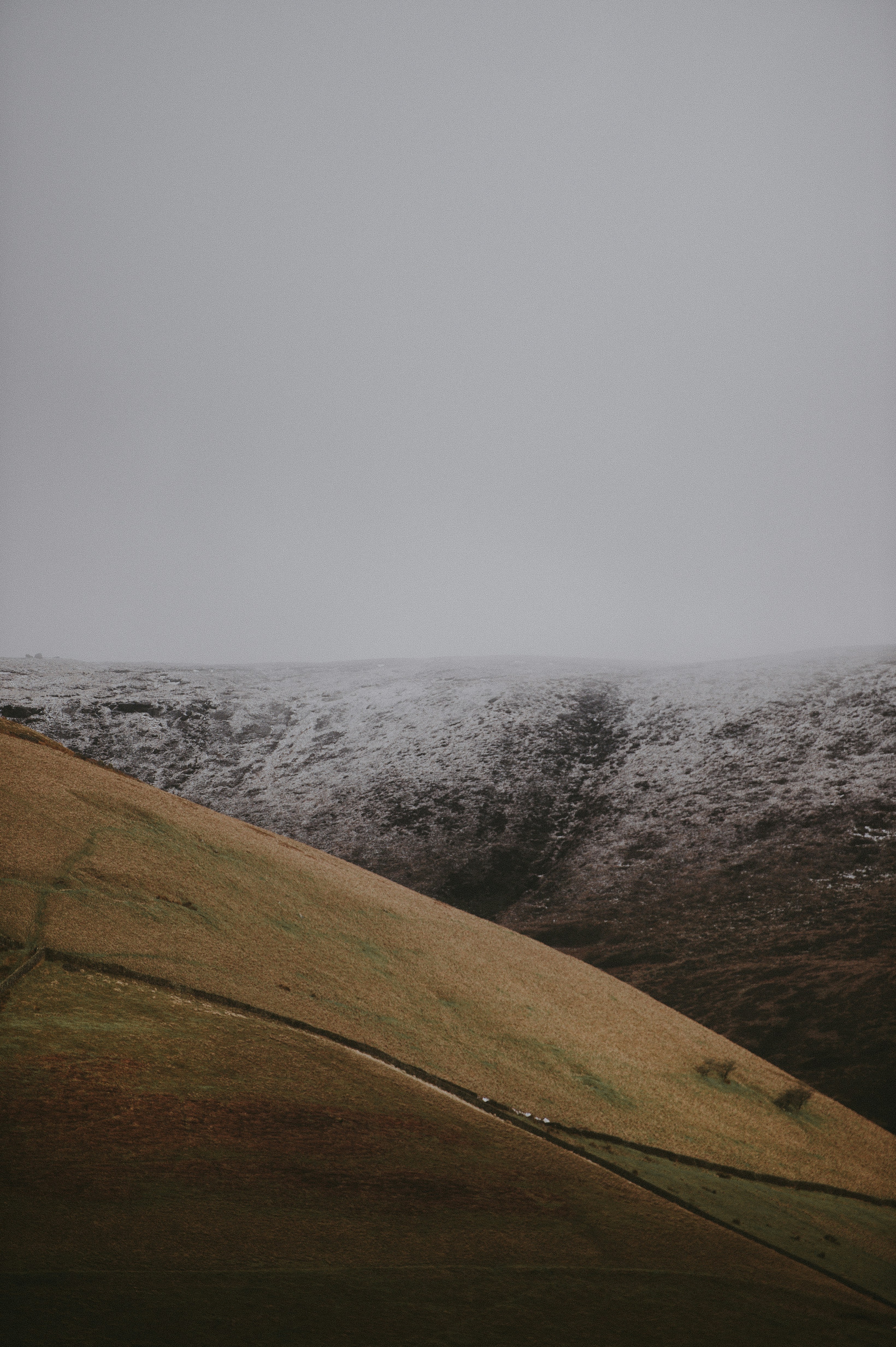 Photo by anniespratt