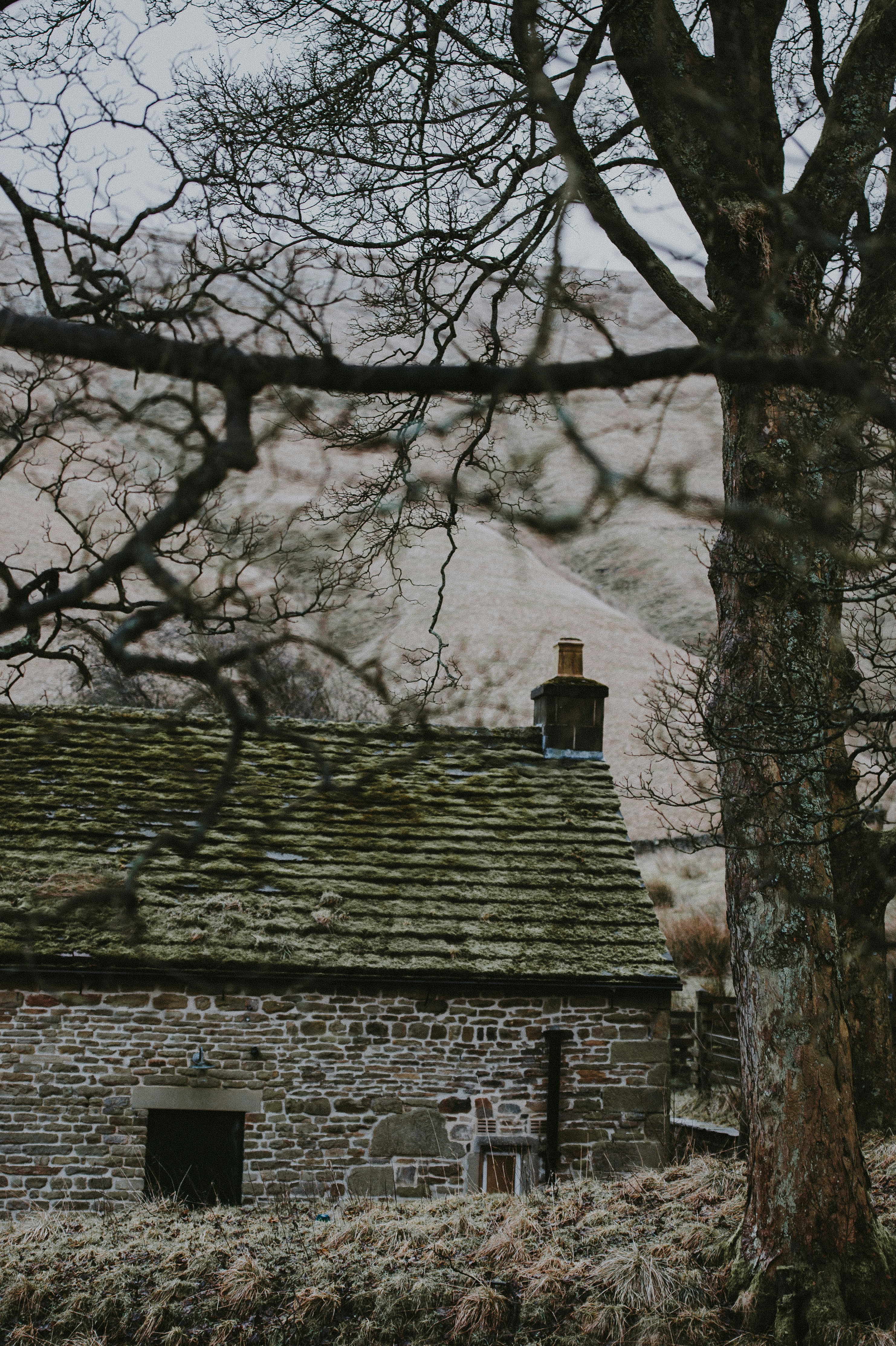 brown and white brick house with snow-covered mountain background