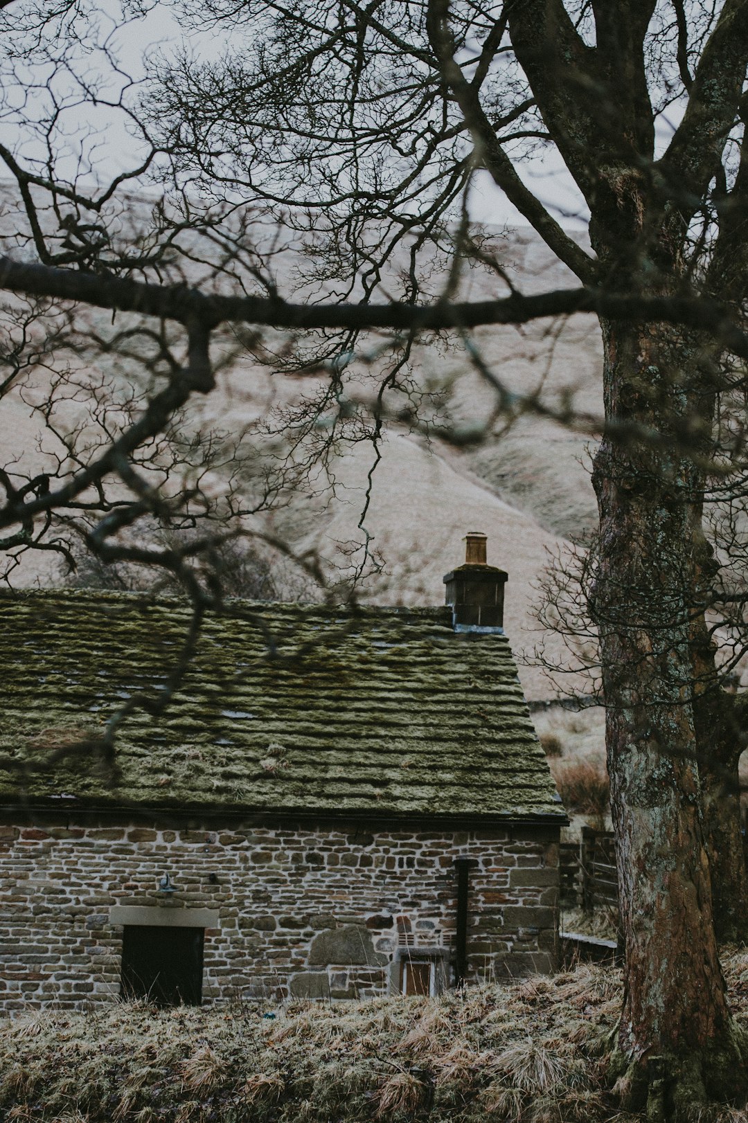 brown and white brick house with snow-covered mountain background