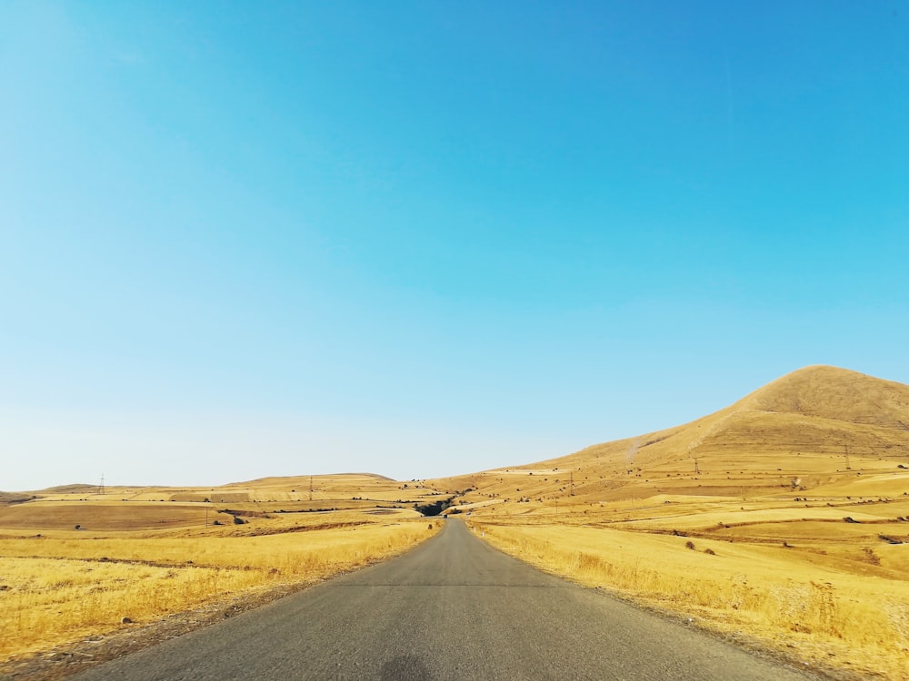 gray asphalt road between dried field during daytime