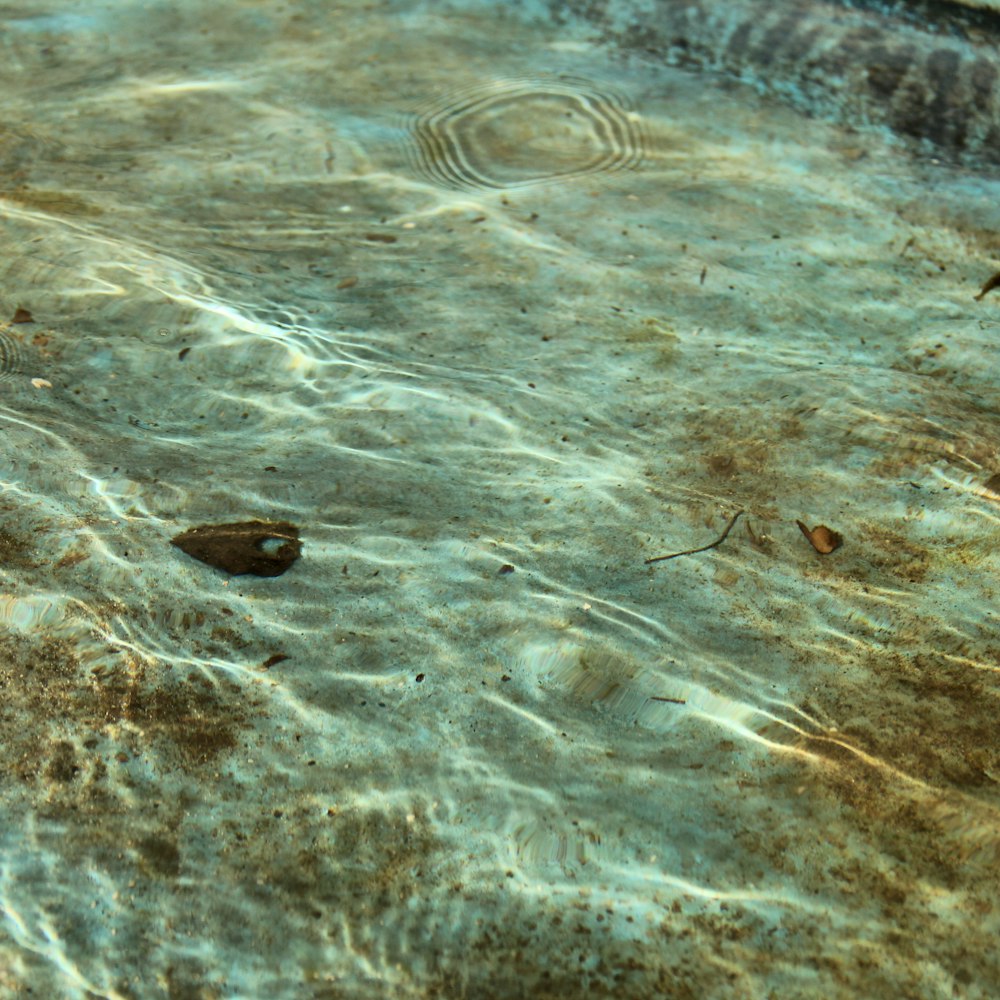 white sand in body of water