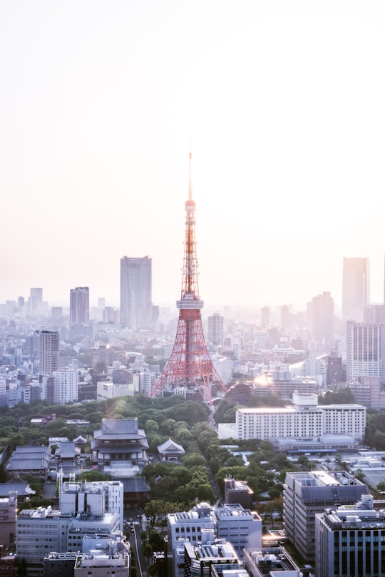 red and white tower in the middle of an urban city in Tokyo Tower Japan