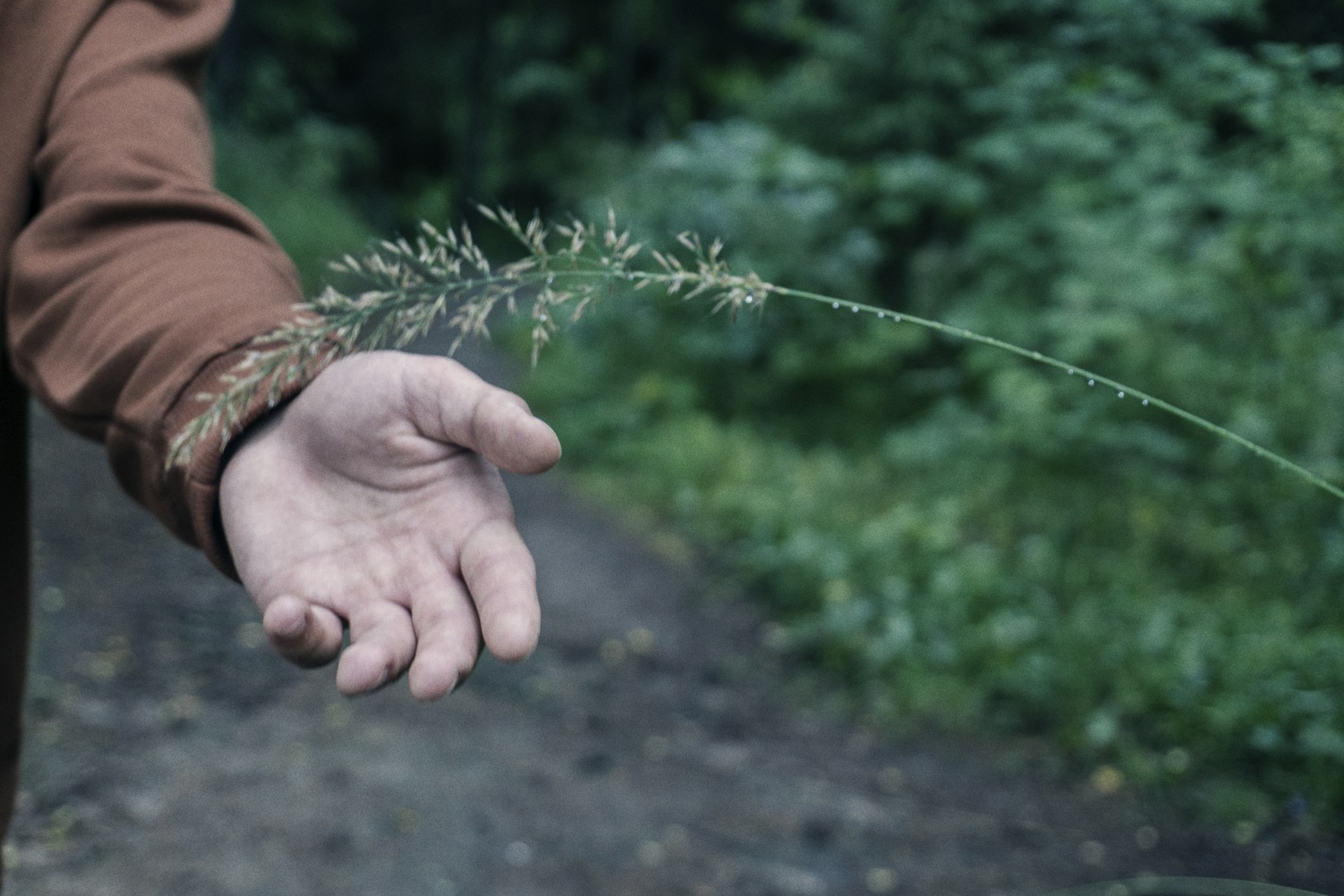 gray computer monitor