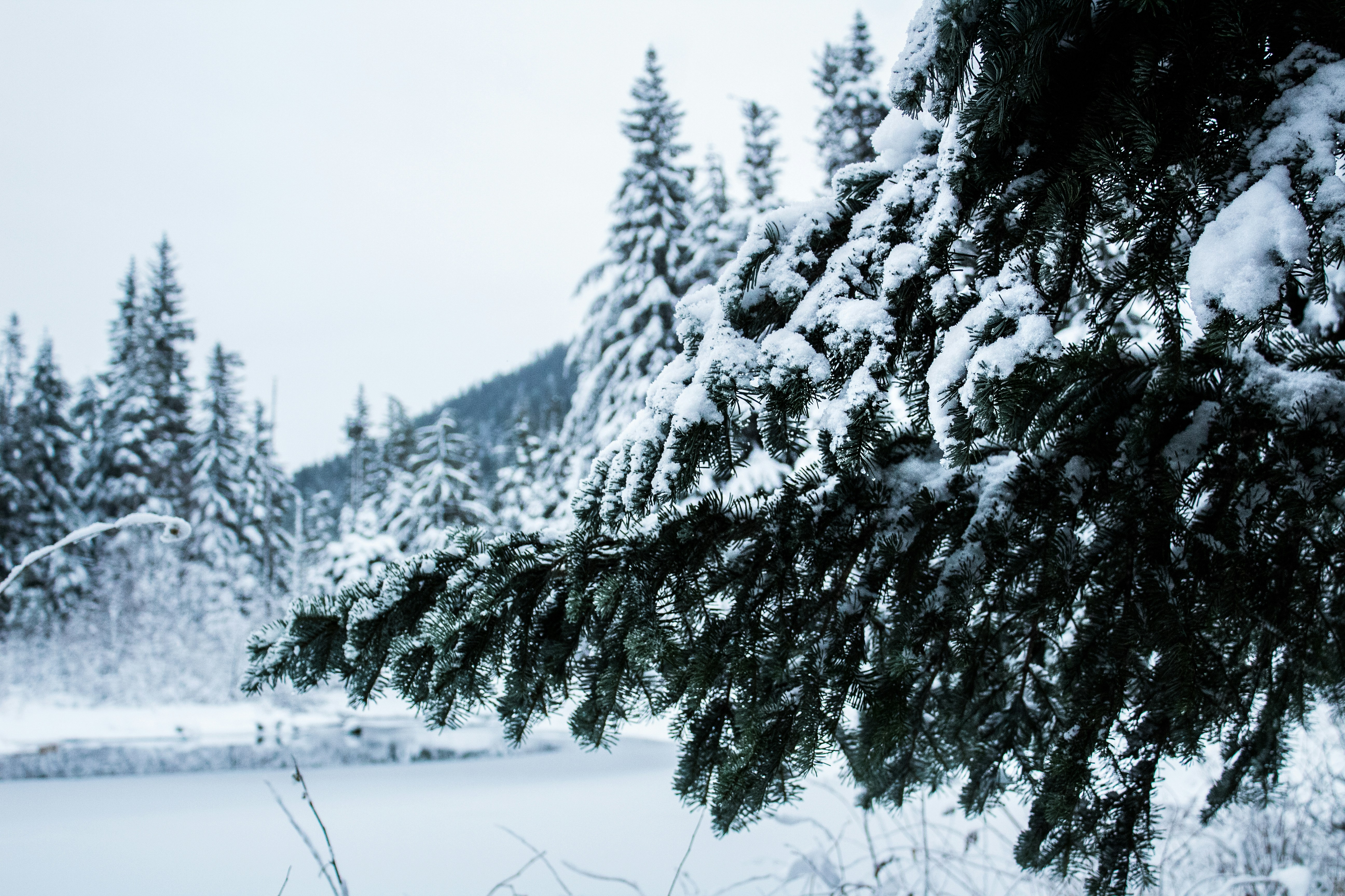 Photo by bales_eliza