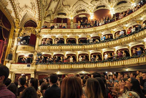 内容观察报告