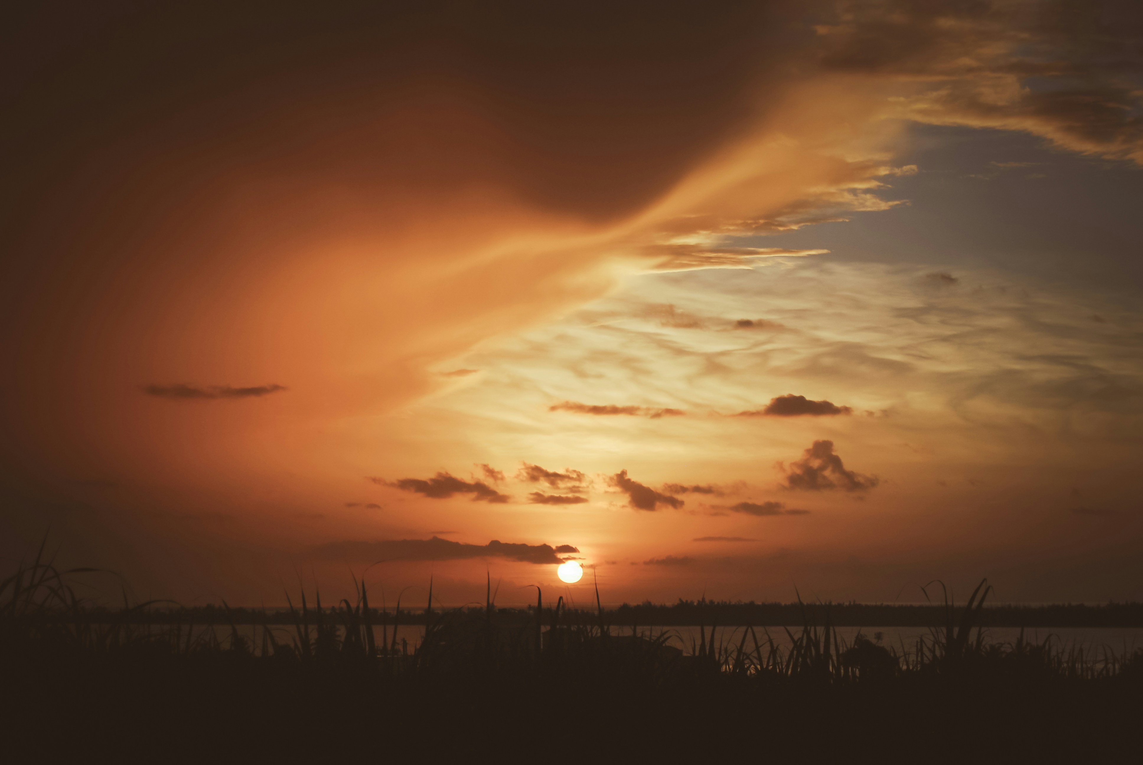 Photo by xaviercoiffic