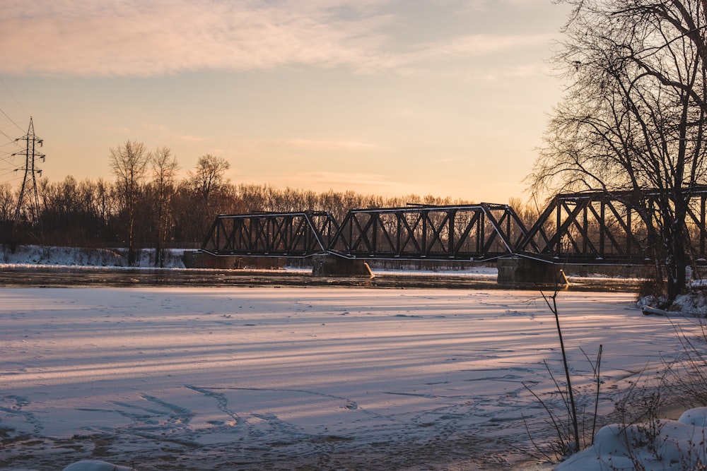 gray bridge near trees during daytime