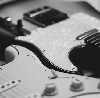 black and white photo of two stratocaster electric guitars
