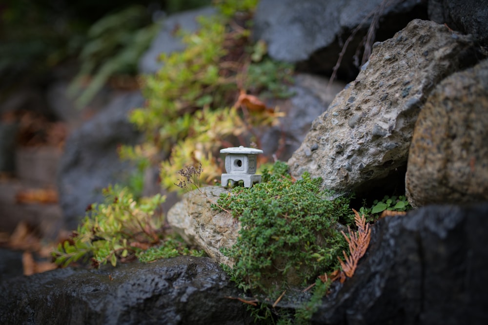 tilt-shift photo of figurine