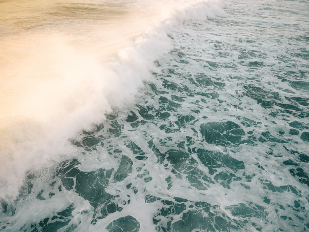 crashing seashore during daytime