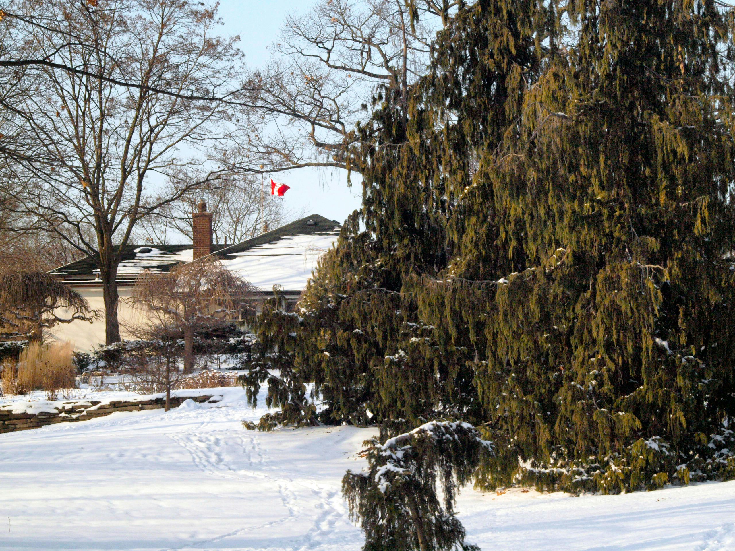 겨울에 즐기는 캐나다 여행의 모든 것