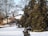 A winter landscape featuring a house with a snow-covered roof and a small chimney. A Canadian flag is visible in the distance, partially obscured by tall, leafless trees. Snow blankets the ground, and large evergreen trees stand prominently to the side.