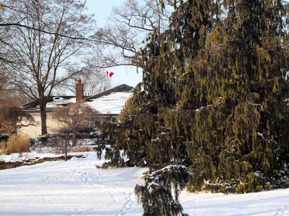 A winter landscape featuring a house with a snow-covered roof and a small chimney. A Canadian flag is visible in the distance, partially obscured by tall, leafless trees. Snow blankets the ground, and large evergreen trees stand prominently to the side.