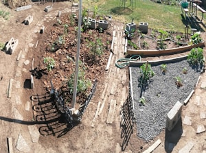 Essential Gardening Tools Set