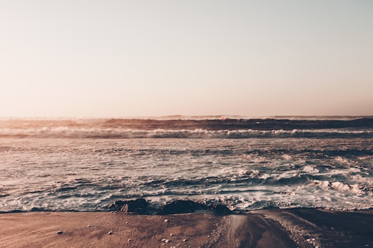 landscape photography of seashore in São Pedro de Moel Beach Portugal