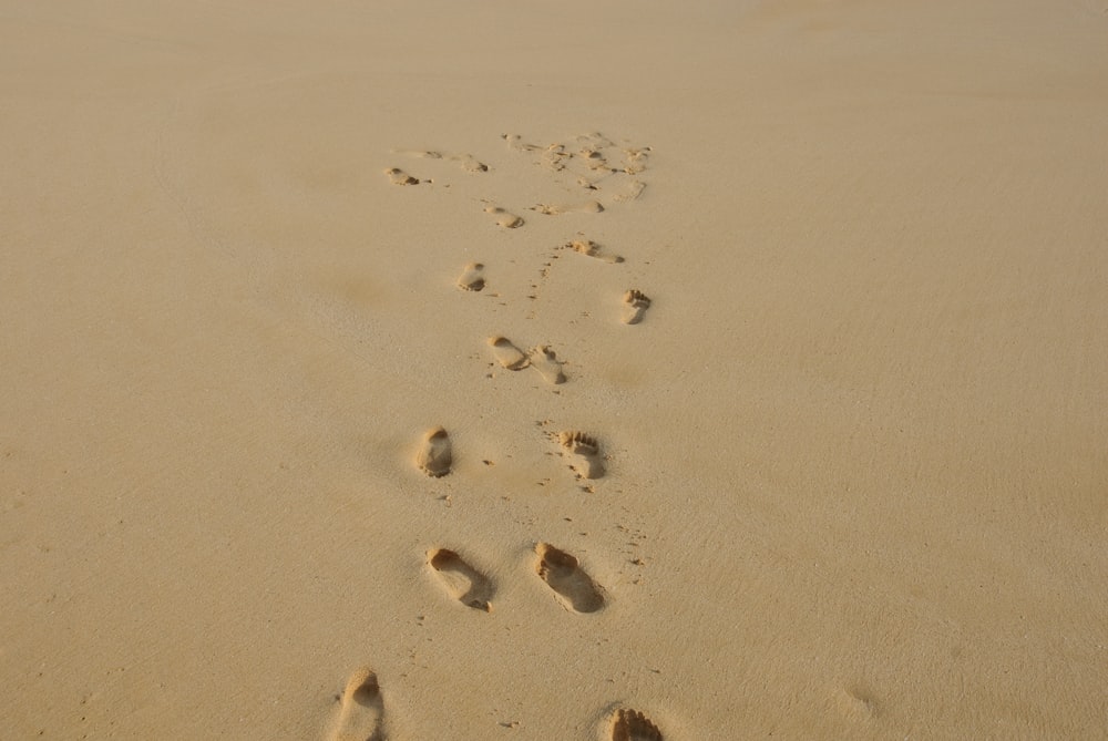 footprints in the sand