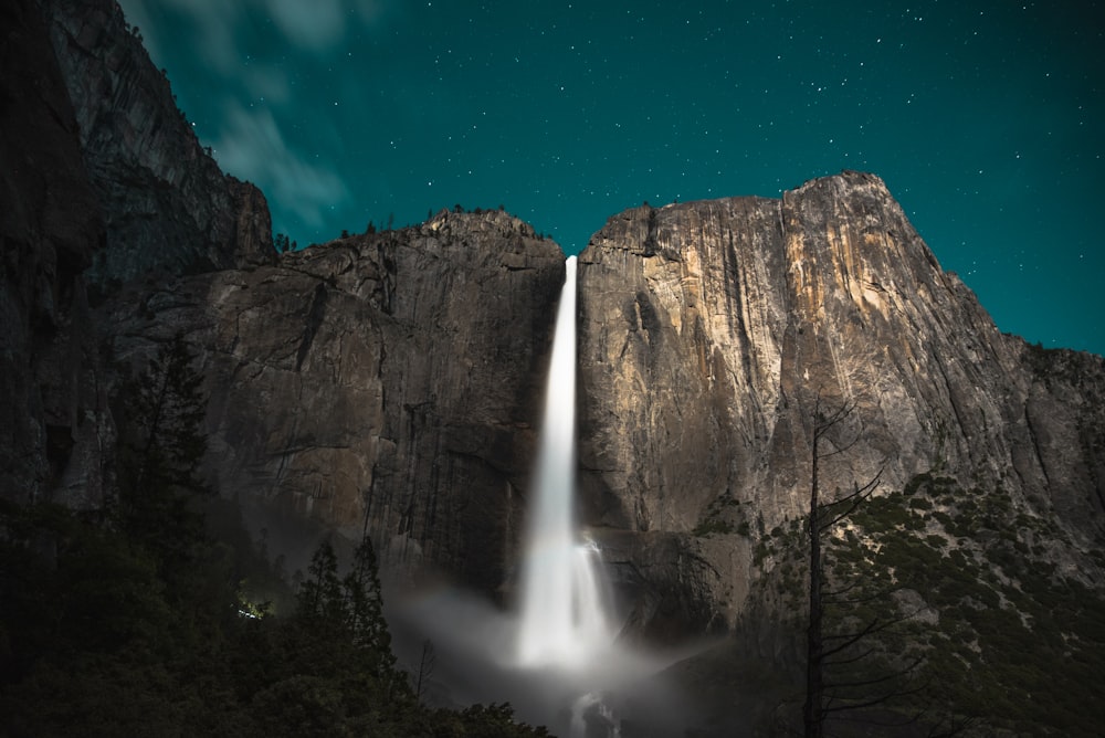 waterfalls near trees