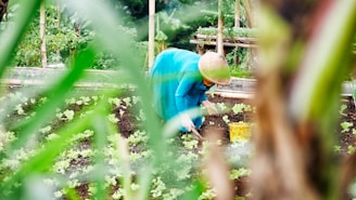 woman wearing hat in garden and bending.