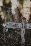 brown wooden signage with dried grass