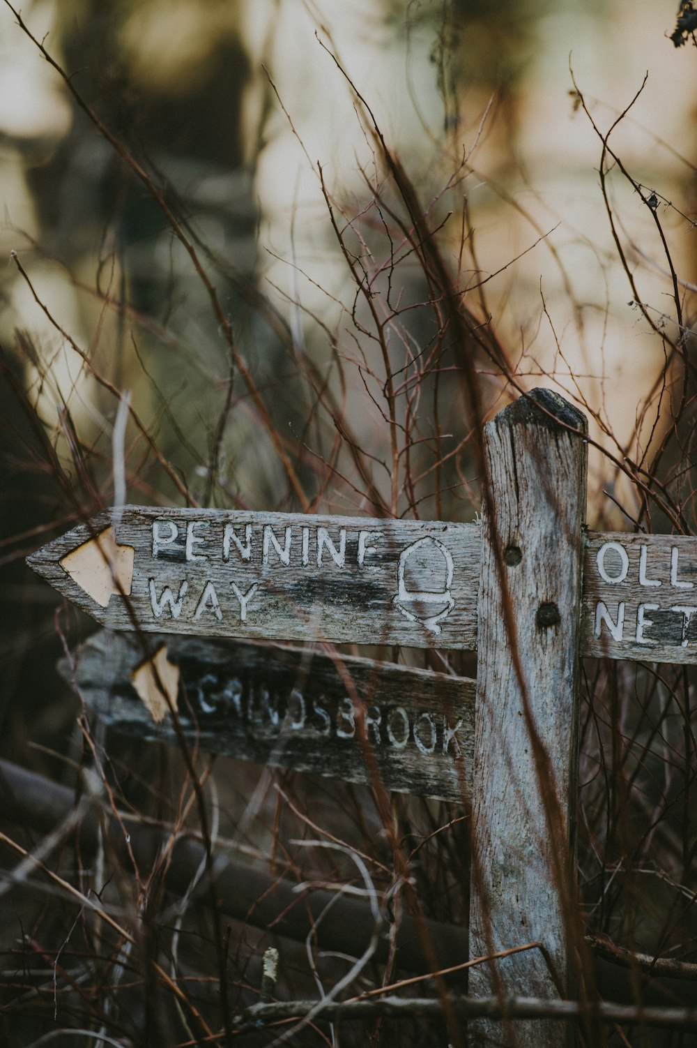 brown wooden signage with dried grass