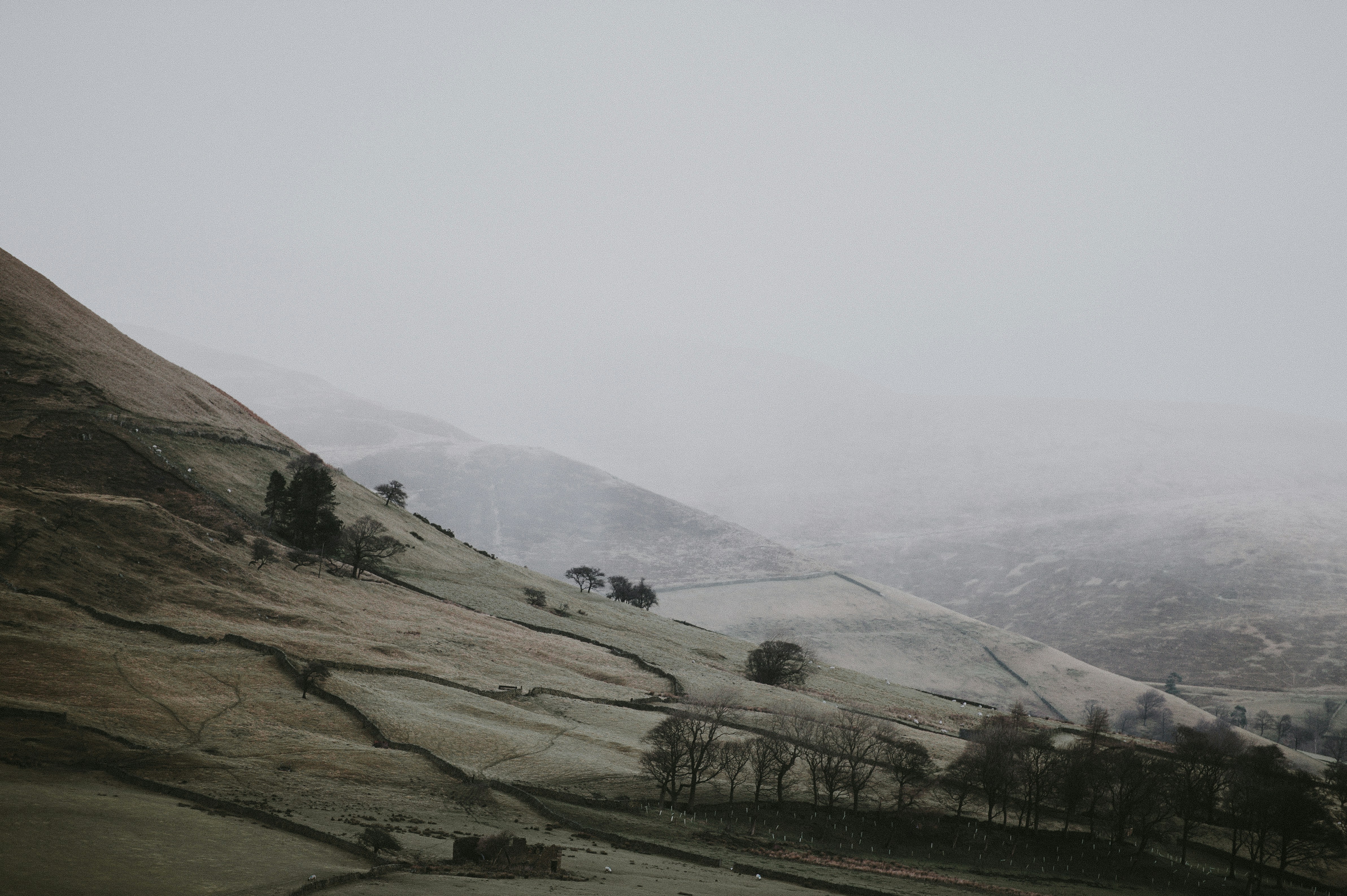 Photo by anniespratt