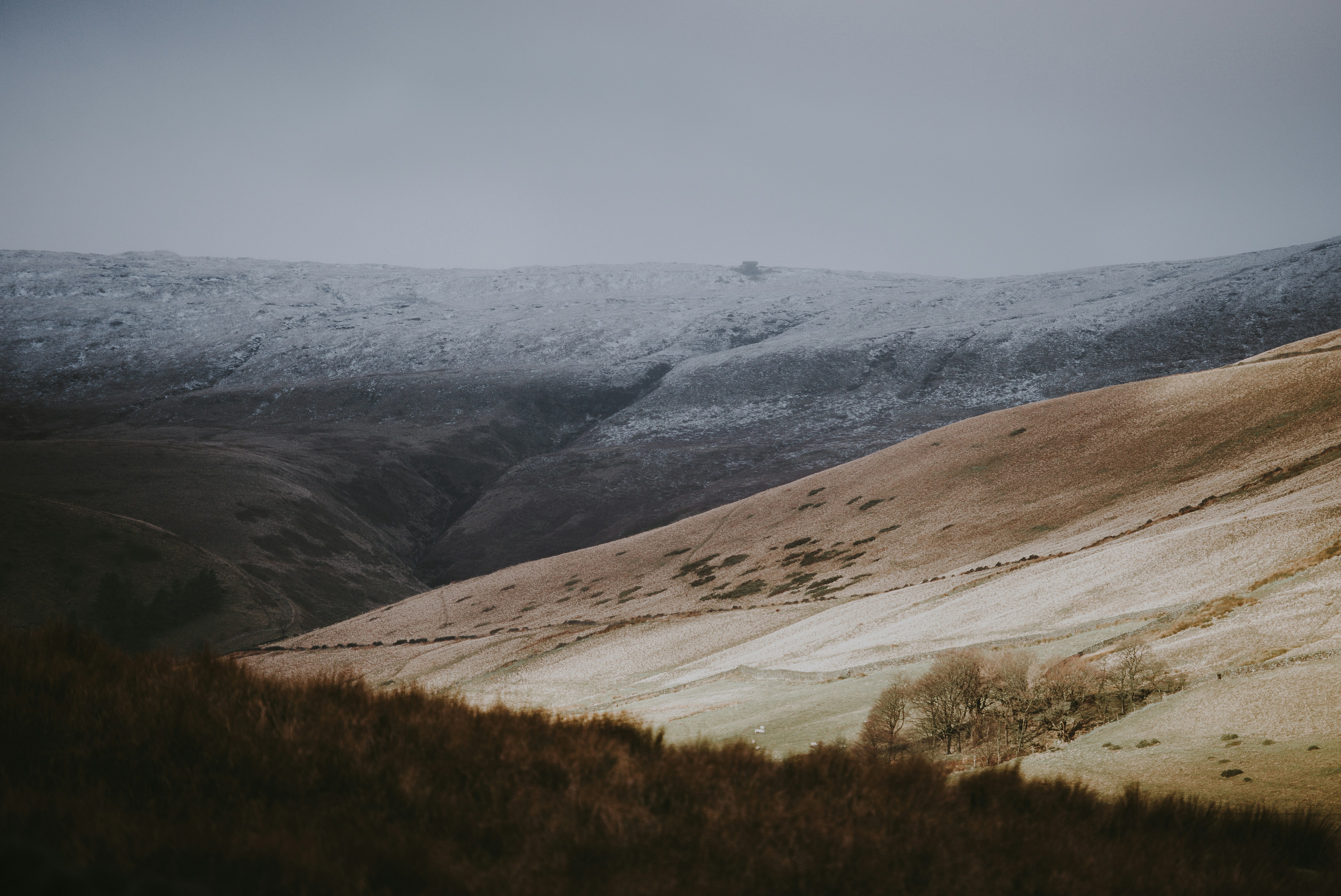 Photo by anniespratt