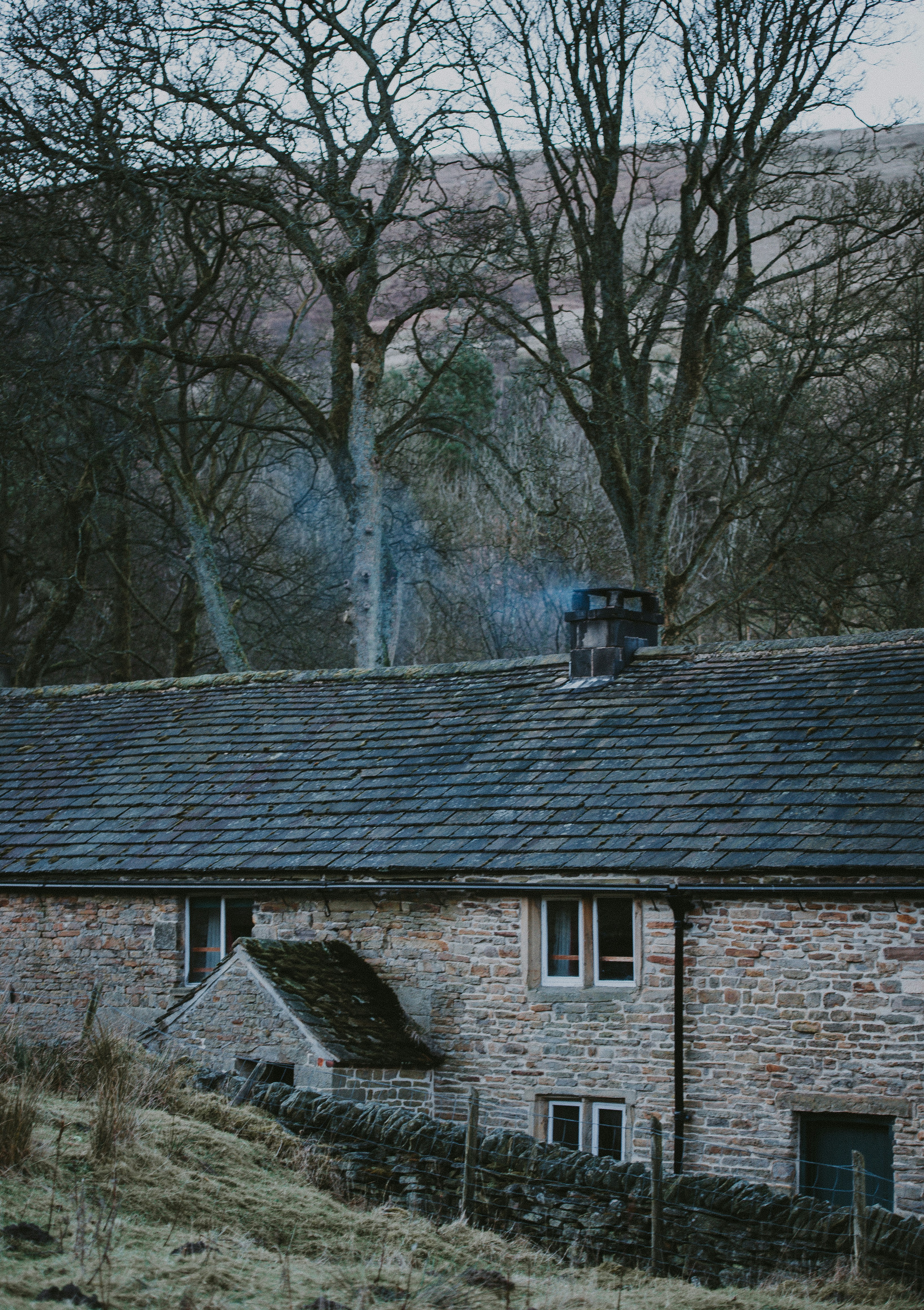 Photo by anniespratt