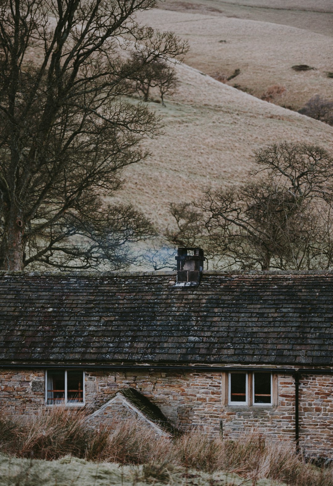 concrete house near bare trees