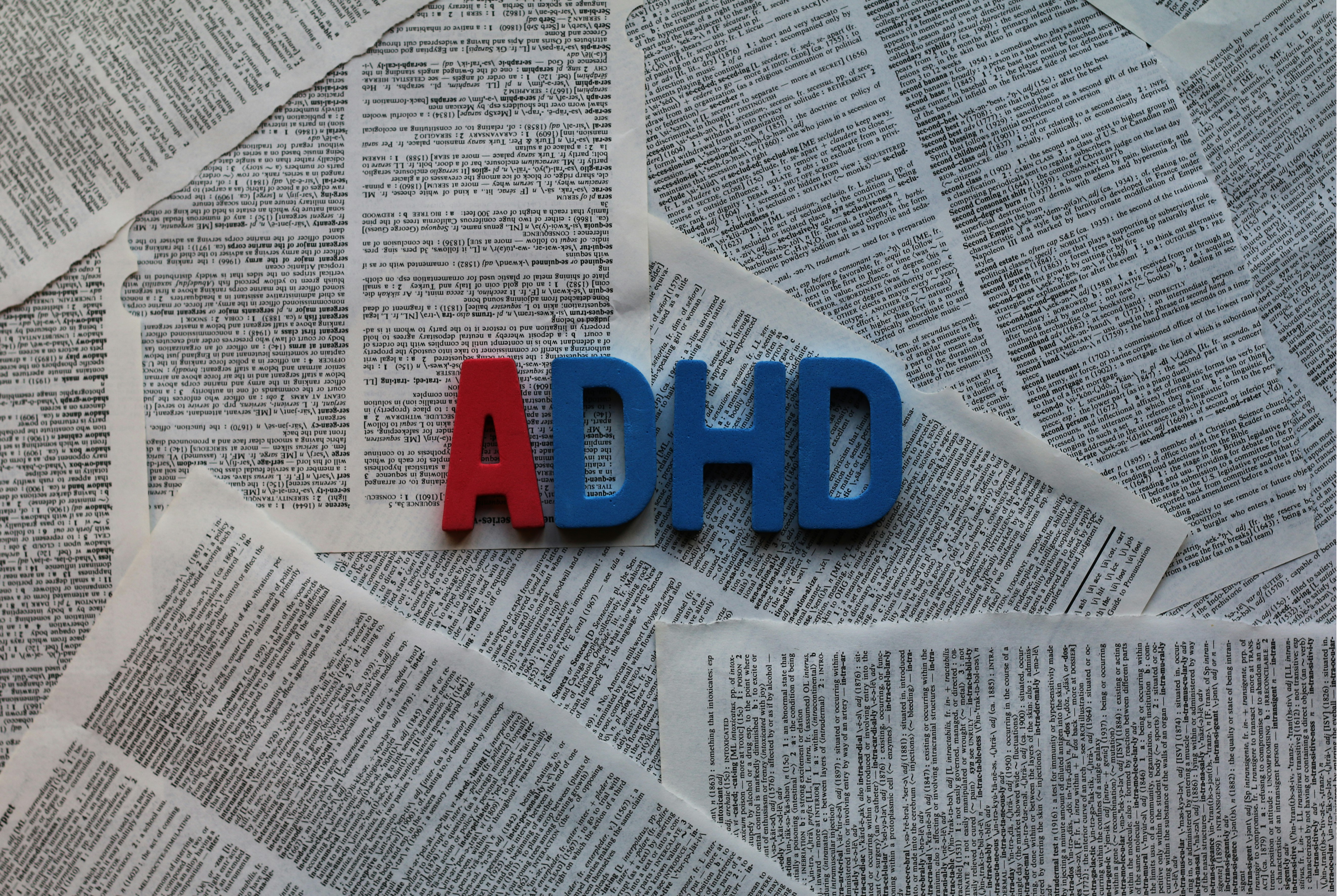 photo 1516355610269 691c0824b921?ixlib=rb 4.0