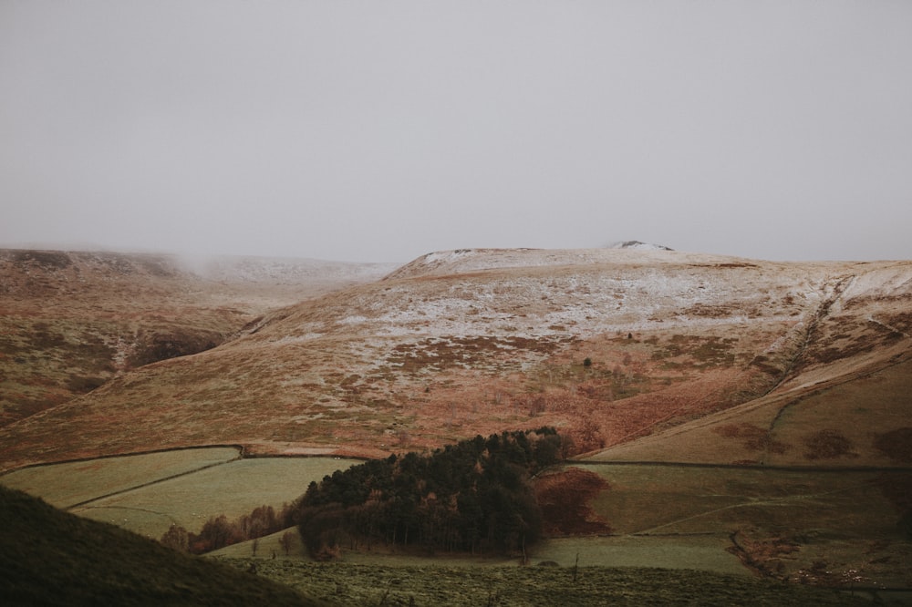 a hill covered in snow next to a forest