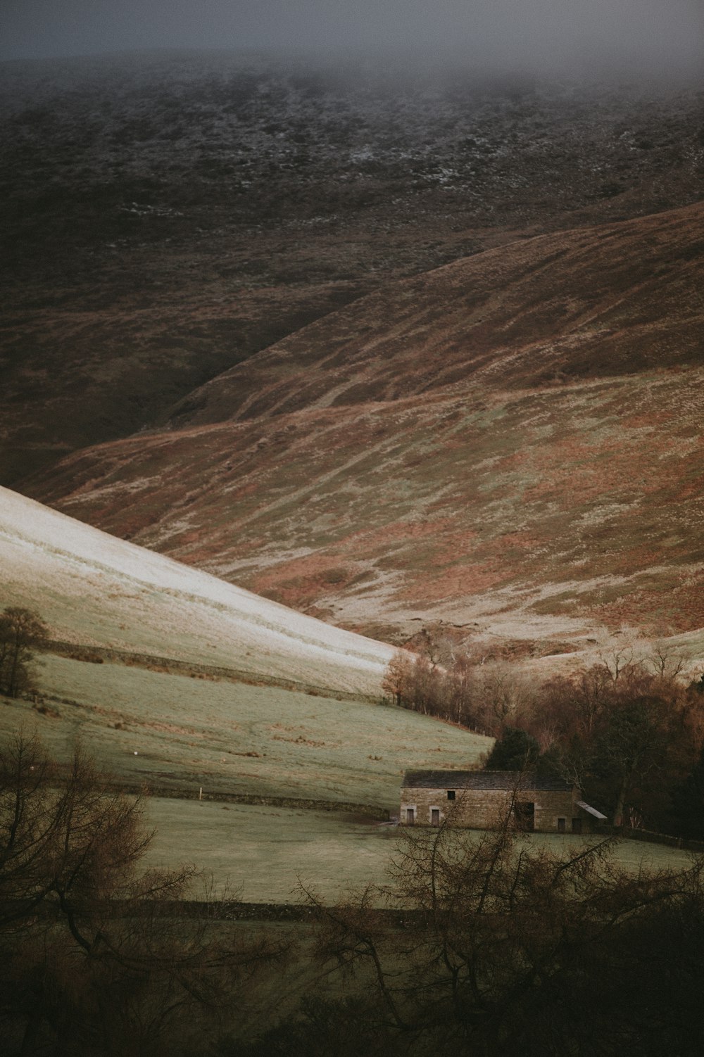 house on hill at daytime