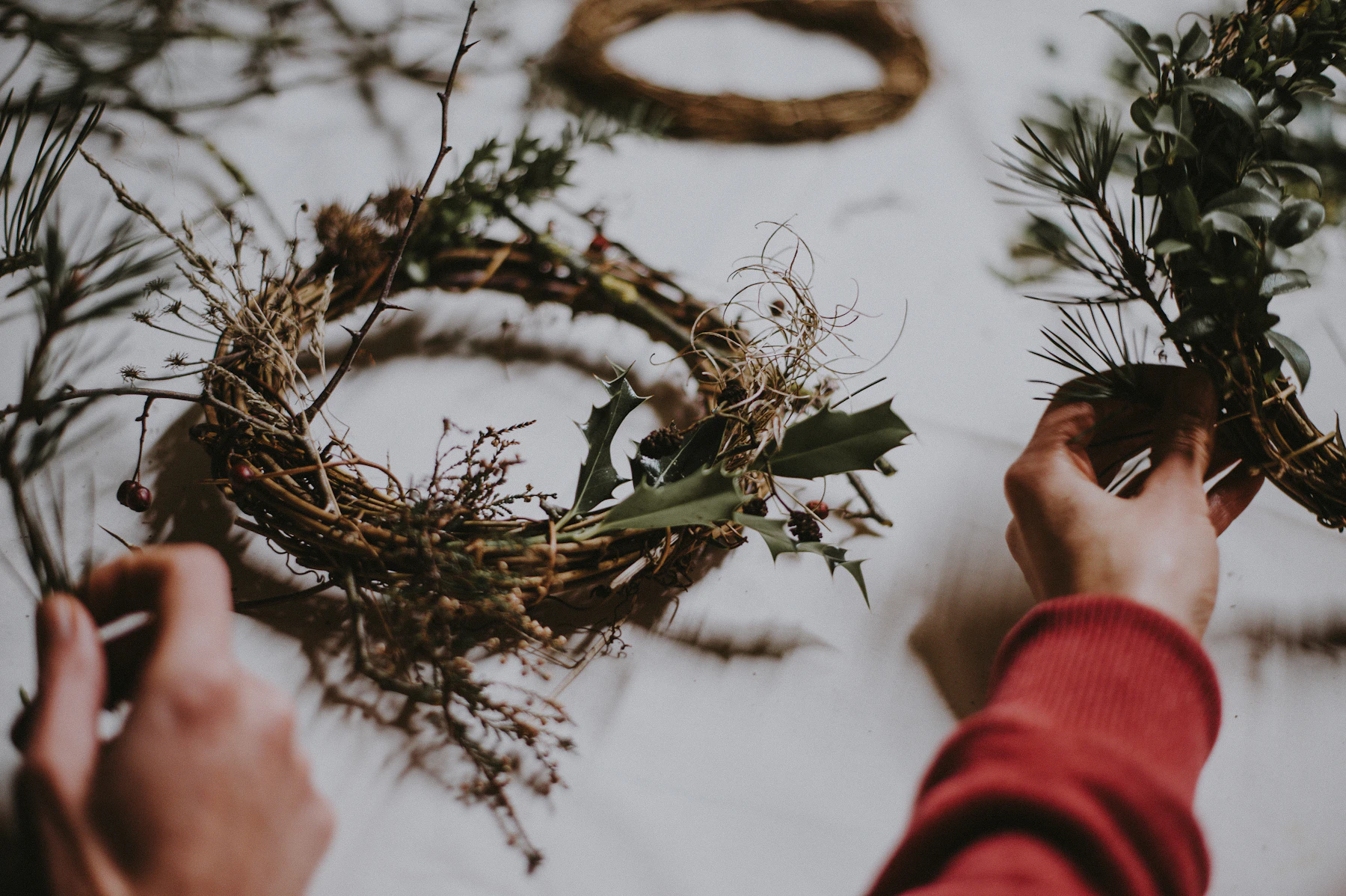 Hands tucking sprigs of holly and pine into rings of twisted vine laid on a white cloth