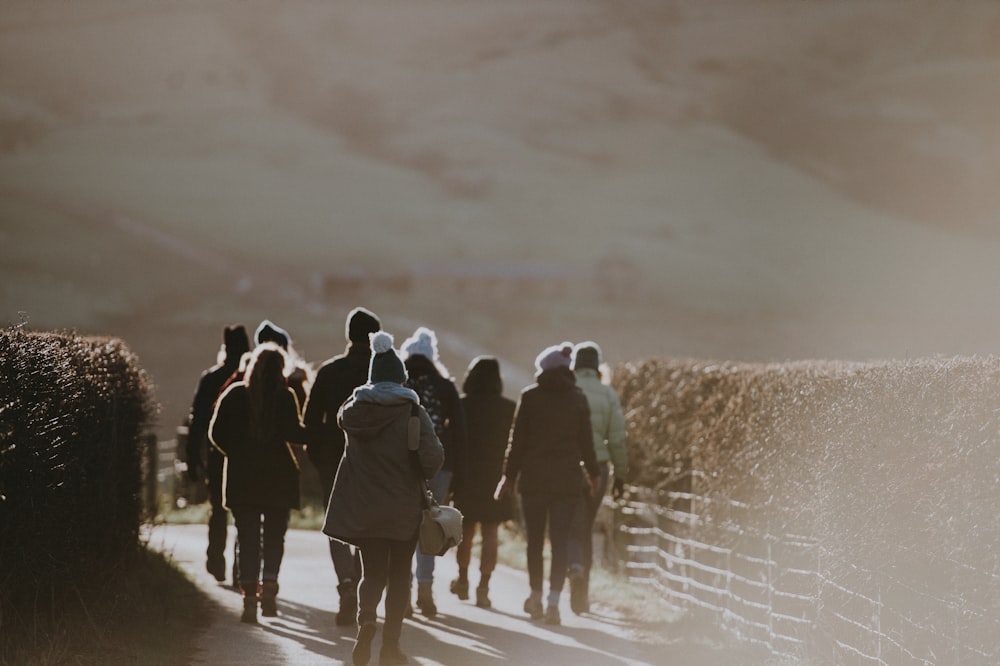 group of people walking to pathway