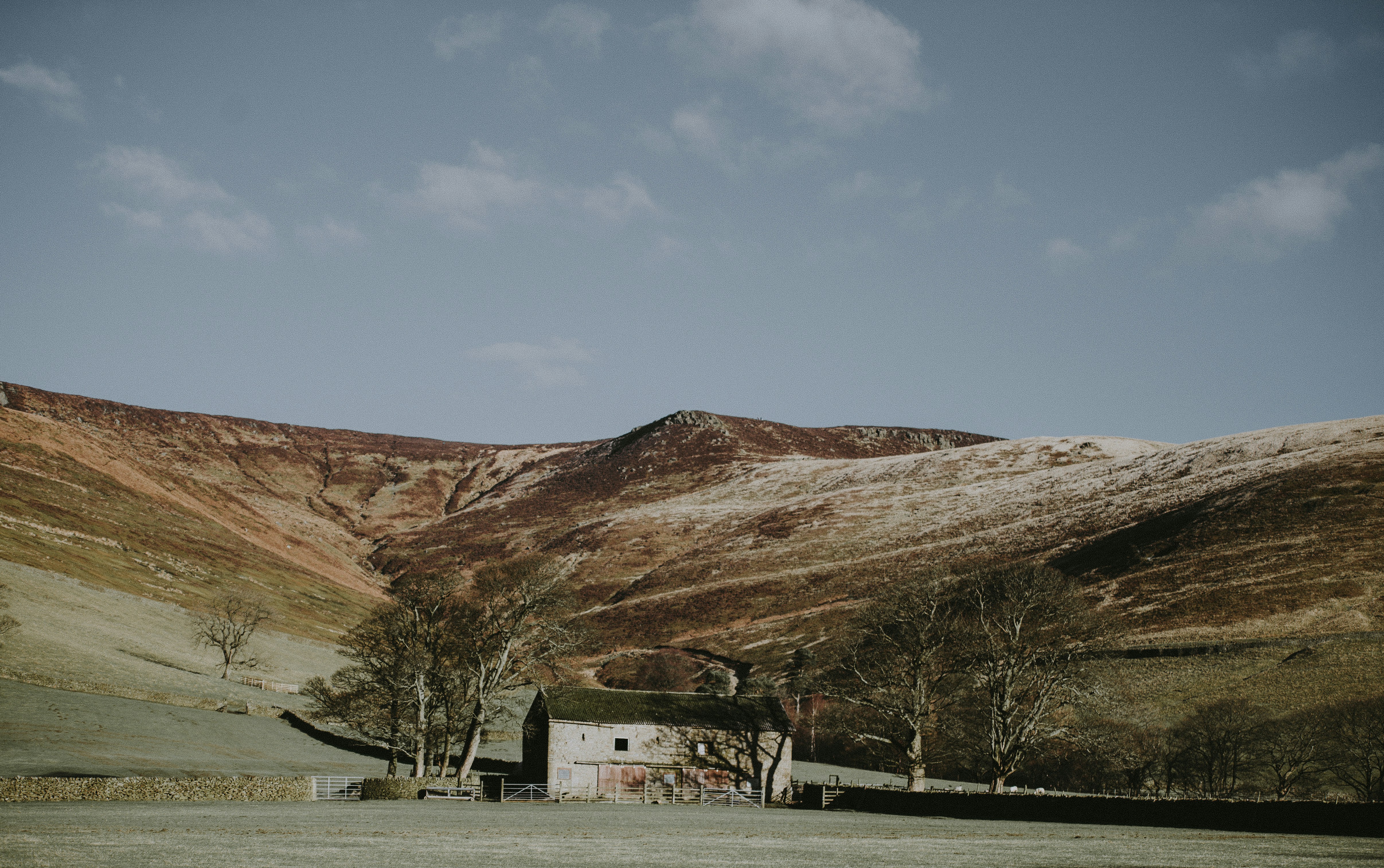 Photo by anniespratt