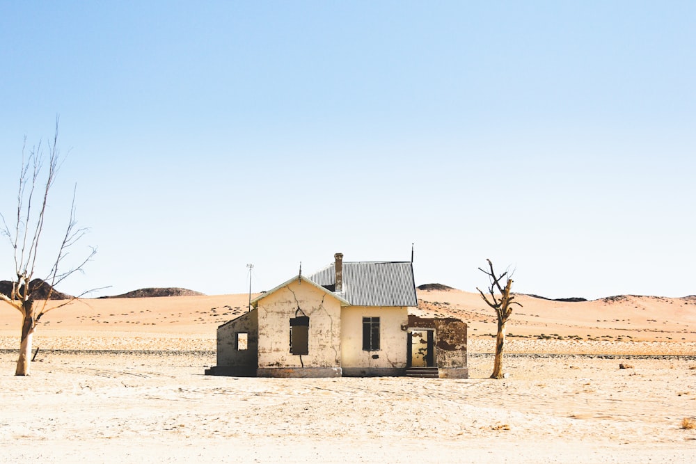 house on dessert