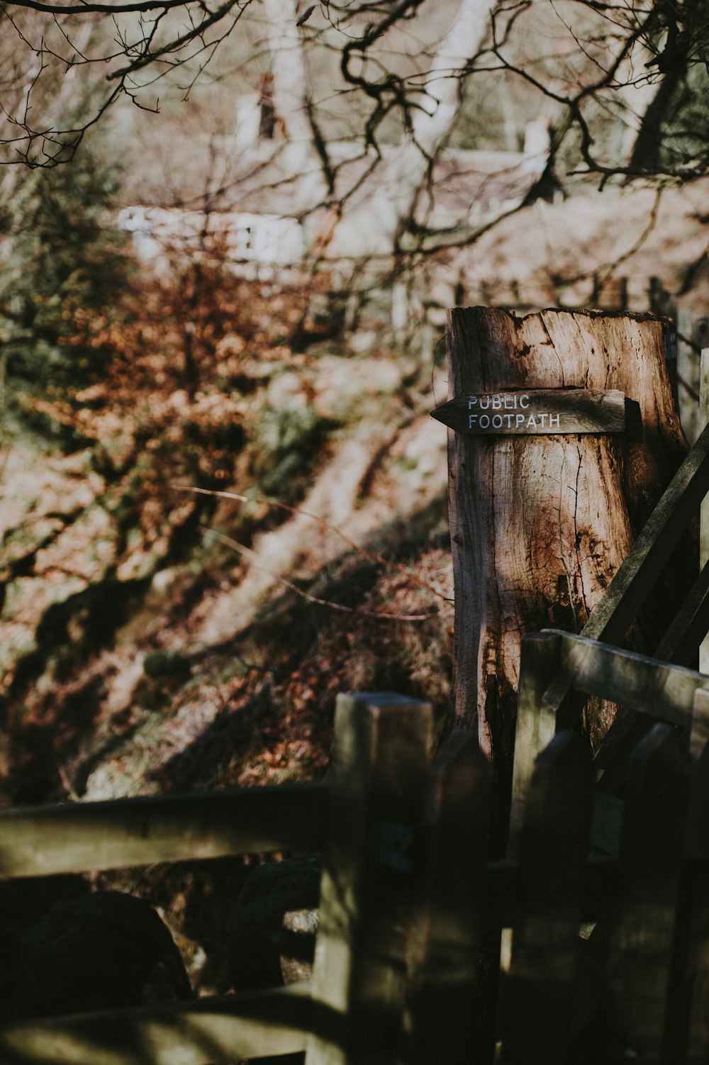 brown wooden fence near tree