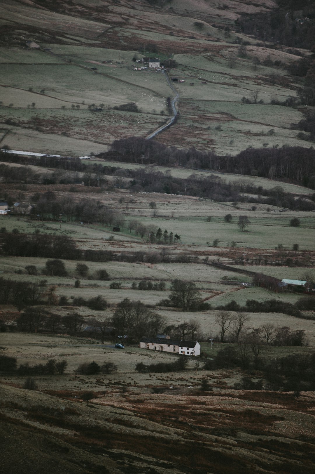 aerial photography of building