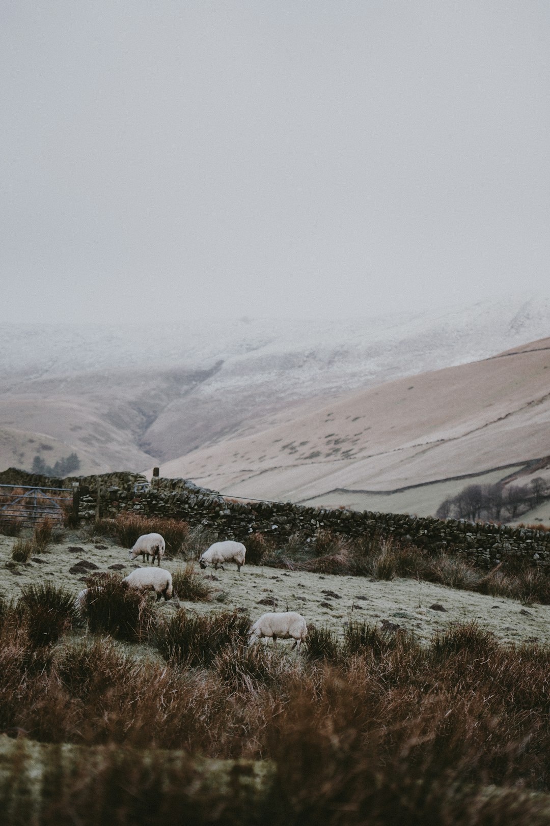 Ecoregion photo spot Peak District National Park West Yorkshire